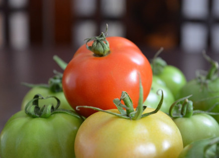 Tomates de Zafarraya